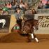 Kentucky Reining Cup